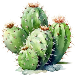 Cactus style watercolor painting 