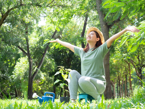 Asian young woman spread her arms out and breathe fresh air. Young woman with tree seedlings for plant in the forest.