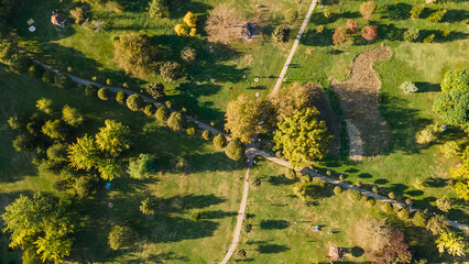 Urban park with meadow, trees and paths. Top view aerial photo from flying drone of a city park with walking path and green zone trees in evening time.