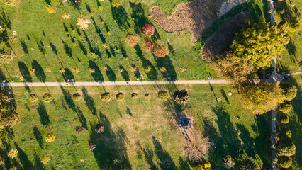 Urban park with meadow, trees and paths. Top view aerial photo from flying drone of a city park with walking path and green zone trees in evening time.