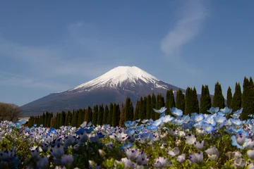 Papier Peint photo Mont Fuji mont fuji 