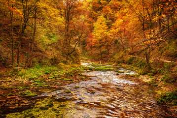 Vintgar gorge, Slovenia