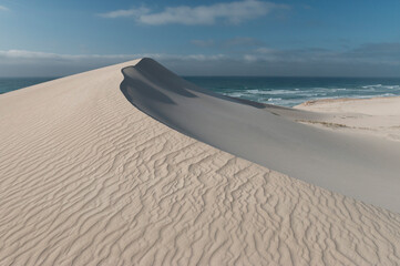 Fototapeta na wymiar sand dunes on the coast, De Hoop Nature Reserve, Overberg, South Africa