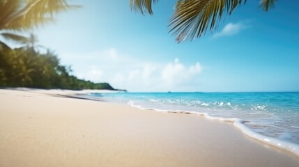 tropical beach background, Advertisement, Print media, Illustration, Banner, for website, copy space, for word, template, presentation