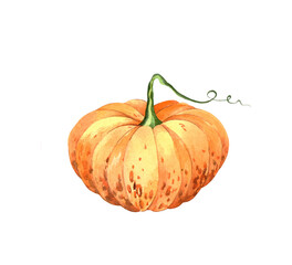 A large orange pumpkin. Watercolor illustration, poster.