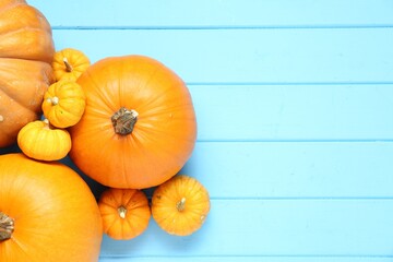 Thanksgiving day. Many ripe pumpkins on light blue wooden table, flat lay with space for text