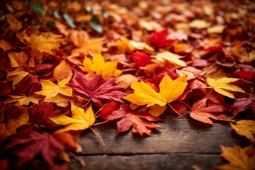 Vibrant Autumn Leaves: Nature's Colorful Carpet of Red, Orange, and Yellow
