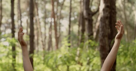 Woman stretching with arms raised in the forest