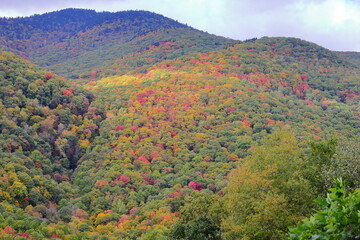 Autumn fall colors n mountains with colorful scenery. 