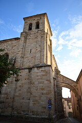 Zamora 