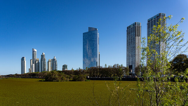 Vistas de plantas y edificios desde la reserva ecol&oacute;gica de la ciudad de Buenos Aires