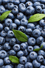 Tasty fresh blueberries with green leaves as background, top view