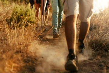 Close-Up of hikers Feet Trekking in Natural Terrain