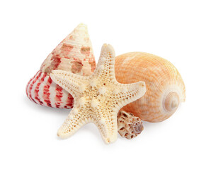 Fototapeta na wymiar Beautiful sea stars (starfishes) and seashells isolated on white