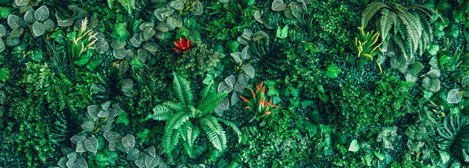 Group of background tropical green leaves texture. Natural green wallpaper and background. Green of Nature wallpaper.