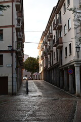 Zamora 