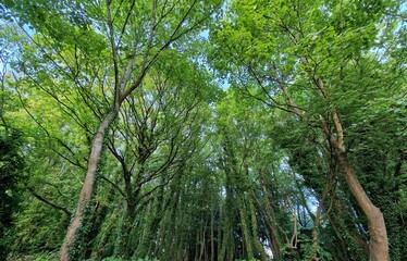 Landscape, background, highway
