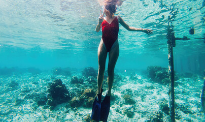 female diver in flippers discovering coral reef during summer recreation vacations on Bahamas © BullRun