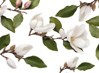 Outdoor kussens magnolia flowers pattern isolated on transparent background. top view, flat lay. © Naige