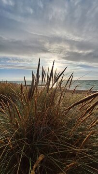 D&auml;nemark, Skagen, 