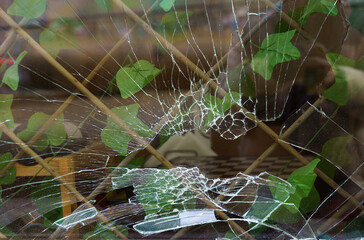 A broken shop window behind which a green plant can be seen in the room and a chess table in the background