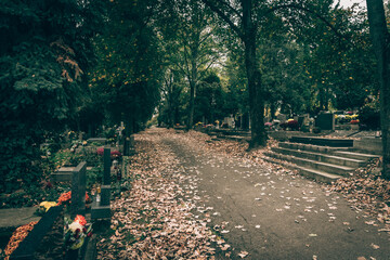 All Saints Day in cemetery, autumnal leaves on the path, sadness and loneliness