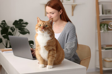 Woman working with laptop at desk. Cute cat sitting near owner at home, selective focus - Powered by Adobe