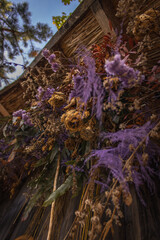 Purple dried flowers hang under the roof