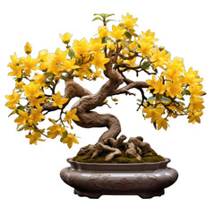 Bonsai tree with flowers on transparent background, generative