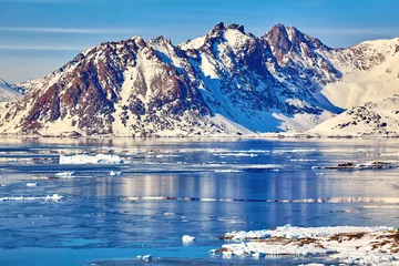 Fototapeten East Greenland landscape with coastline, icebergs and mountains © Oleksandr Dibrova