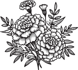 Marigold vector art, monochrome floral illustration. ink vector illustration hand drawn pencil sketch, a branch of botanical collection simplicity, artistic, coloring book for children and adults