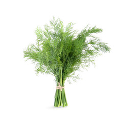 Bunch of fresh dill isolated on white