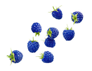 Many fresh blue raspberries falling on white background