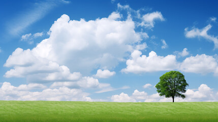 A beautiful summer landscape of blue sky, clouds, trees, and meadows provides the perfect backdrop for a holiday.