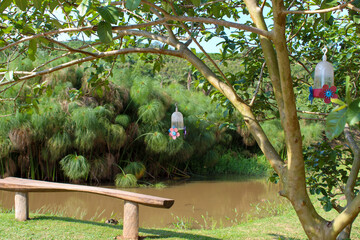 Natureza, paisagem e paz.