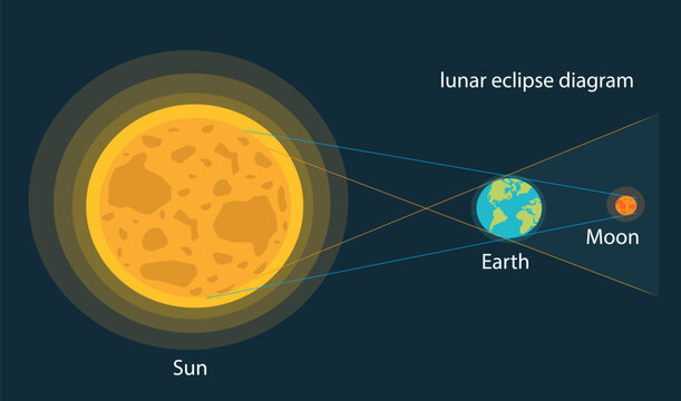 Lunar eclipse vector illustration. Lunar eclipse diagram. Moon eclipse diagram