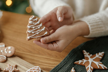 Hands holding gingerbread cookie tree with icing on rustic wooden table. Atmospheric Christmas holiday traditions, family time. Woman decorating cookies with sugar frosting - obrazy, fototapety, plakaty