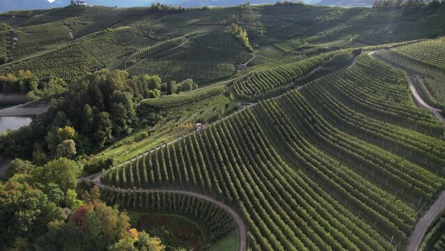 mele val di non frutteto frutteti