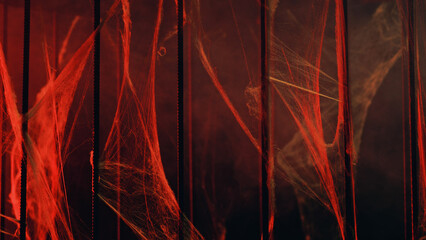 Spider web In red light and smoke
