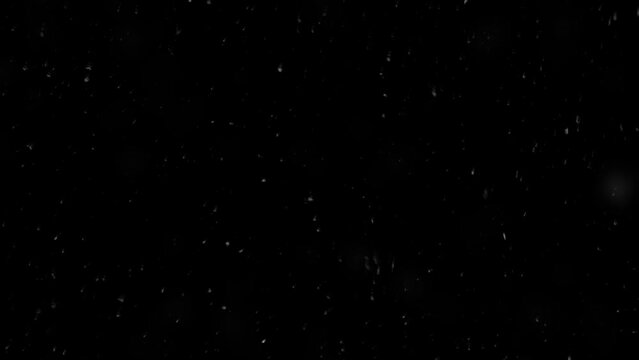 3 shots of Real Snow over a dark night sky.
Seamlessly looped to match any needed duration!
Can also be overlayed over a footage using “blend modes” in your compositing or editing software.
