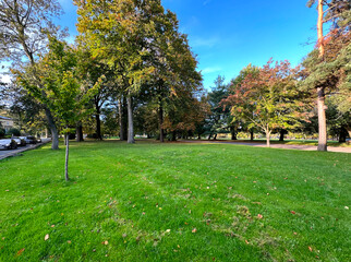 Park land in early autumn, with old trees, grassland, a pathway, and a road, with blue skies in, Lister Park, Bradford, UK