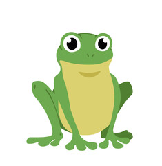 Fototapeta premium Funny Frog. Slightly rotated front view of green cute frog. A sitting frog with bulging eyes. Flat Cartoon Vector Illustration isolated on white