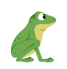 Funny Frog. Side view of cute aquatic animal. A sitting frog with bulging eyes. Flat Cartoon Vector Illustration isolated on white
