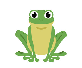Funny Frog. Front view of cute aquatic animal. A sitting frog with bulging eyes. Flat Cartoon Vector Illustration isolated on white