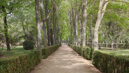 Fototapeta na wymiar Jardín de la Isla, Aranjuez, Madrid, España