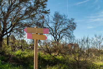 Wooden direction sign post in the forest