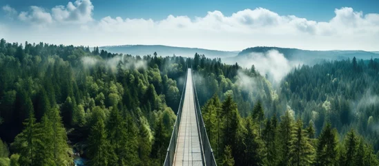 Fotobehang Longest footbridge in Czech forest Dolni Morava With copyspace for text © 2rogan