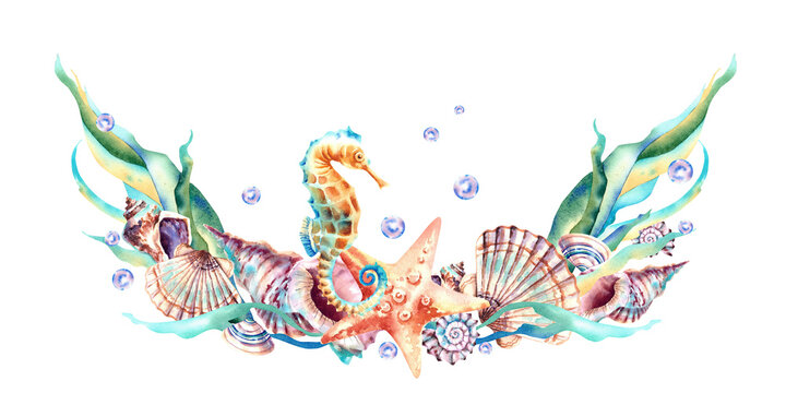 A frame made of marine animals. Seahorse, shell, starfish, algae, bubbles, pearls. Watercolor illustration on an isolated background.