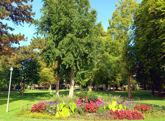 Bäume und Pflanzen im Kurpark Bad Kreuznach, Rheinland-Pfalz, im Herbst.