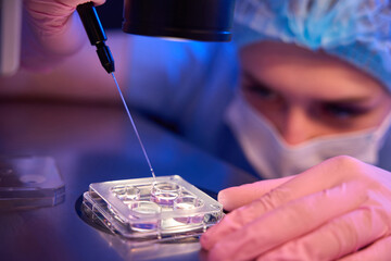 Focused lab scientist collecting in vitro cultured embryos for biopsy